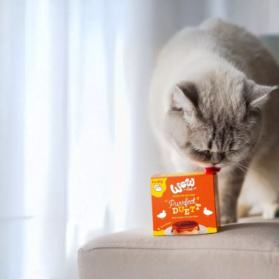 Flan para Gatos – Purrfect Duett Pato - Imagen 4